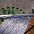 Szabadvezeték AASC 25 mm2, Csupasz szabadvezeték, Kábelek és vezetékek